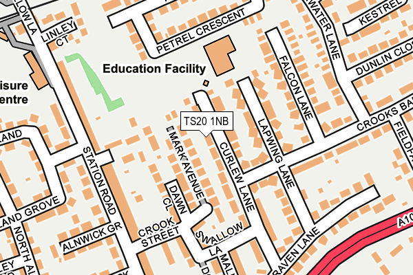 TS20 1NB map - OS OpenMap – Local (Ordnance Survey)