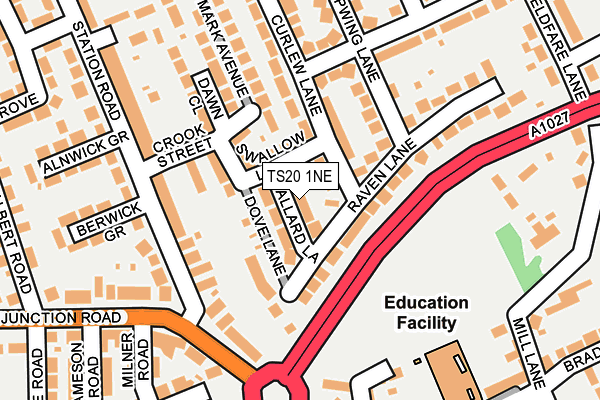 TS20 1NE map - OS OpenMap – Local (Ordnance Survey)