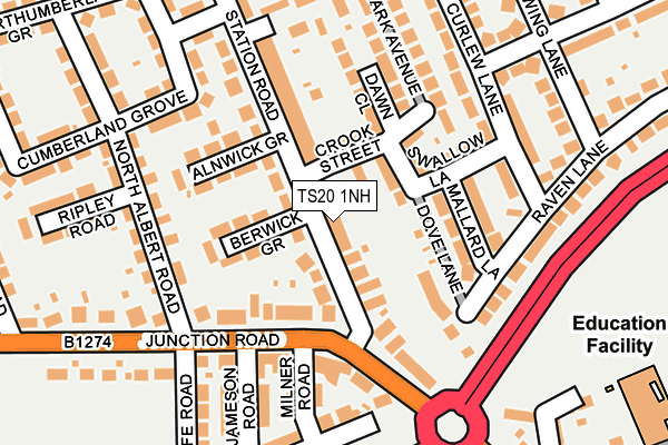 TS20 1NH map - OS OpenMap – Local (Ordnance Survey)