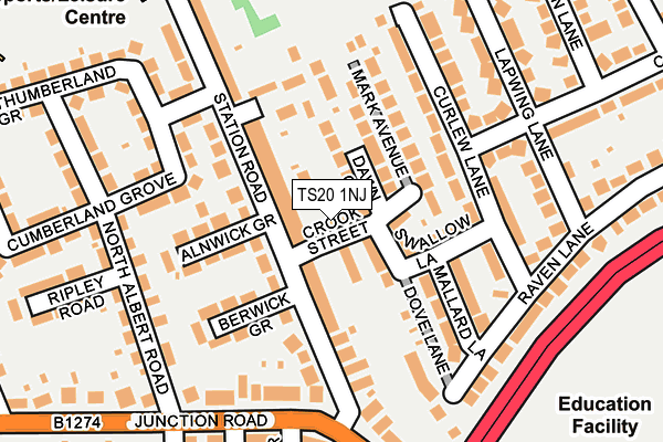 TS20 1NJ map - OS OpenMap – Local (Ordnance Survey)