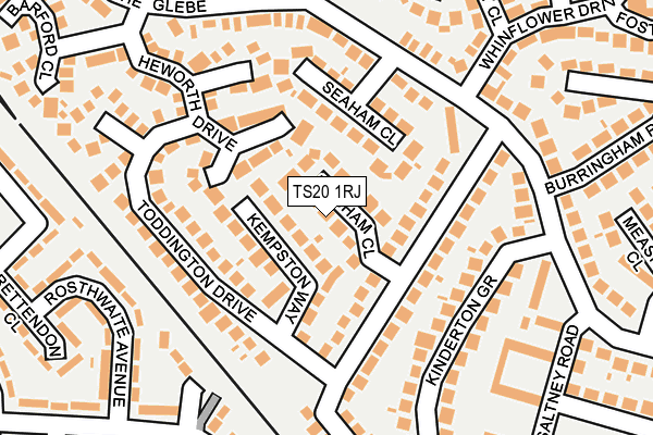 TS20 1RJ map - OS OpenMap – Local (Ordnance Survey)