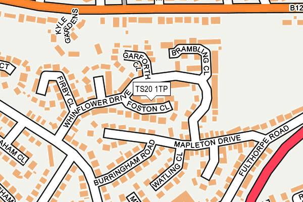 TS20 1TP map - OS OpenMap – Local (Ordnance Survey)