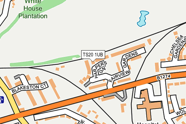 TS20 1UB map - OS OpenMap – Local (Ordnance Survey)