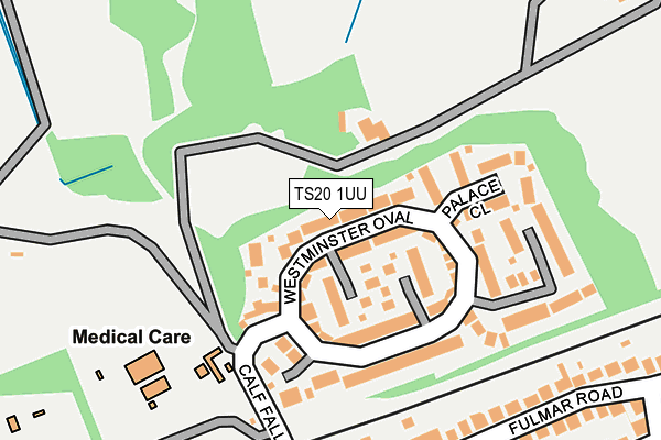 TS20 1UU map - OS OpenMap – Local (Ordnance Survey)