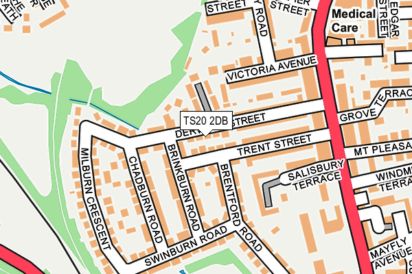 TS20 2DB map - OS OpenMap – Local (Ordnance Survey)