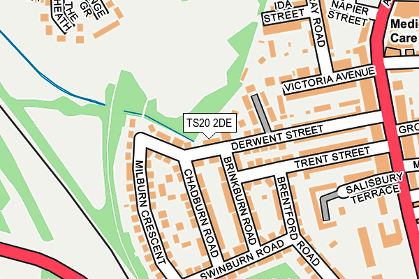 TS20 2DE map - OS OpenMap – Local (Ordnance Survey)