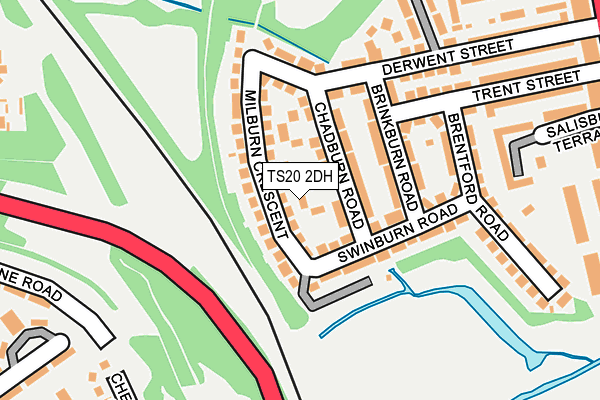 TS20 2DH map - OS OpenMap – Local (Ordnance Survey)