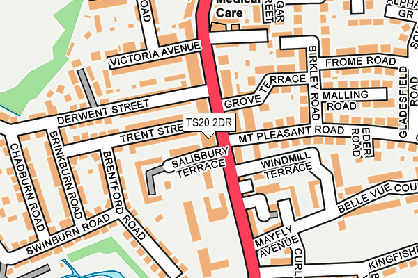 TS20 2DR map - OS OpenMap – Local (Ordnance Survey)