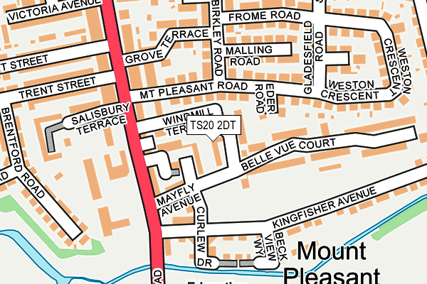 TS20 2DT map - OS OpenMap – Local (Ordnance Survey)