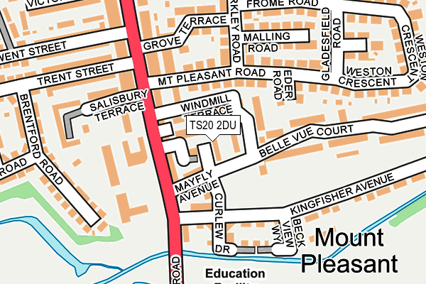 TS20 2DU map - OS OpenMap – Local (Ordnance Survey)