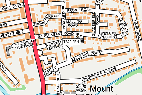 TS20 2EH map - OS OpenMap – Local (Ordnance Survey)