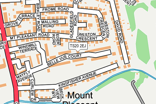 TS20 2EJ map - OS OpenMap – Local (Ordnance Survey)