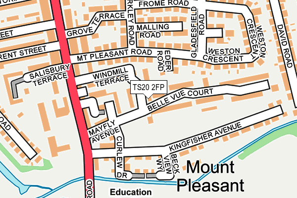 TS20 2FP map - OS OpenMap – Local (Ordnance Survey)