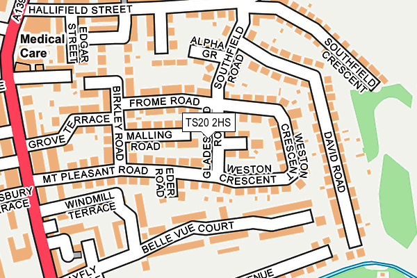 TS20 2HS map - OS OpenMap – Local (Ordnance Survey)