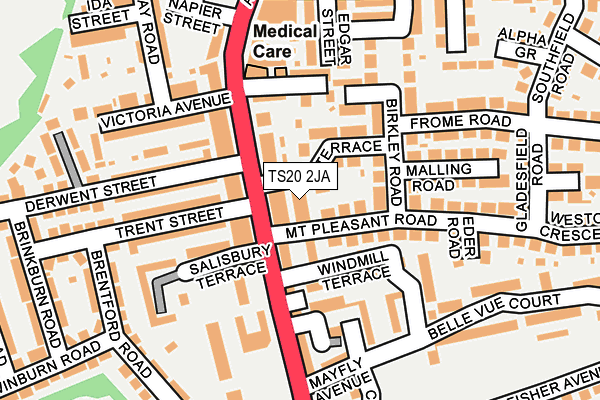 TS20 2JA map - OS OpenMap – Local (Ordnance Survey)