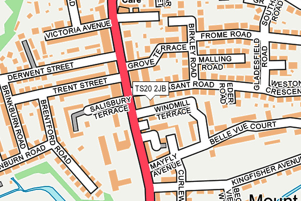 TS20 2JB map - OS OpenMap – Local (Ordnance Survey)