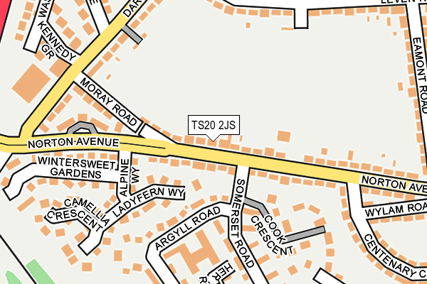 TS20 2JS map - OS OpenMap – Local (Ordnance Survey)