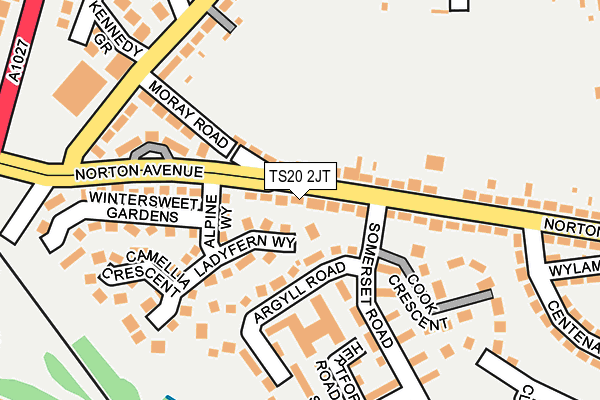 TS20 2JT map - OS OpenMap – Local (Ordnance Survey)