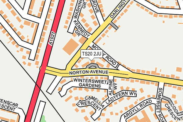 TS20 2JU map - OS OpenMap – Local (Ordnance Survey)