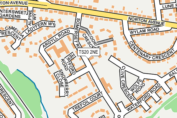 TS20 2NE map - OS OpenMap – Local (Ordnance Survey)