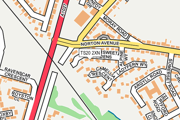 TS20 2XN map - OS OpenMap – Local (Ordnance Survey)