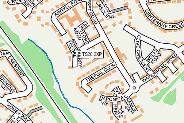 TS20 2XP map - OS OpenMap – Local (Ordnance Survey)