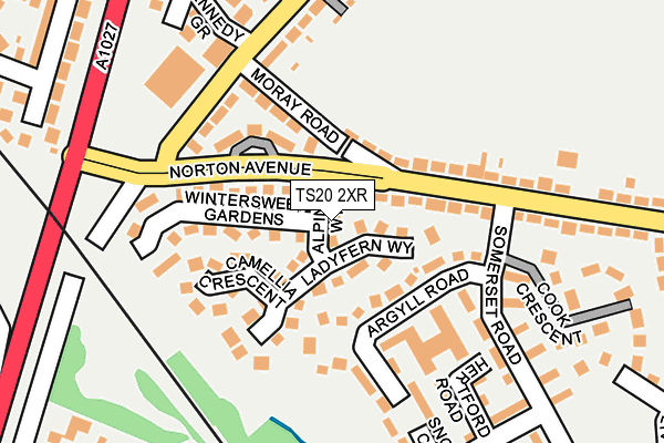 TS20 2XR map - OS OpenMap – Local (Ordnance Survey)