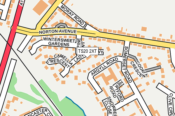 TS20 2XT map - OS OpenMap – Local (Ordnance Survey)