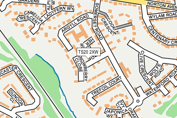 TS20 2XW map - OS OpenMap – Local (Ordnance Survey)