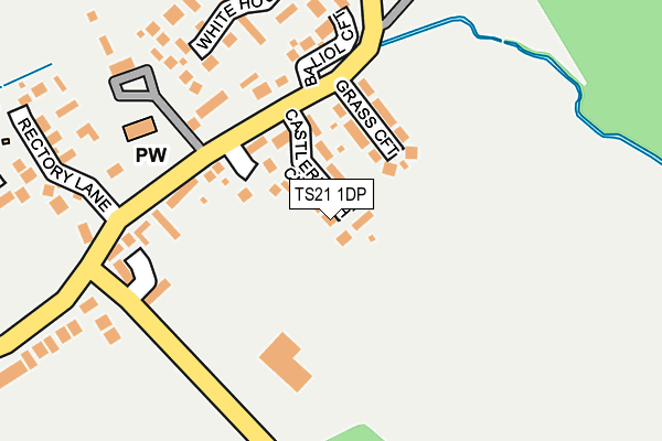 TS21 1DP map - OS OpenMap – Local (Ordnance Survey)