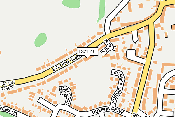 TS21 2JT map - OS OpenMap – Local (Ordnance Survey)