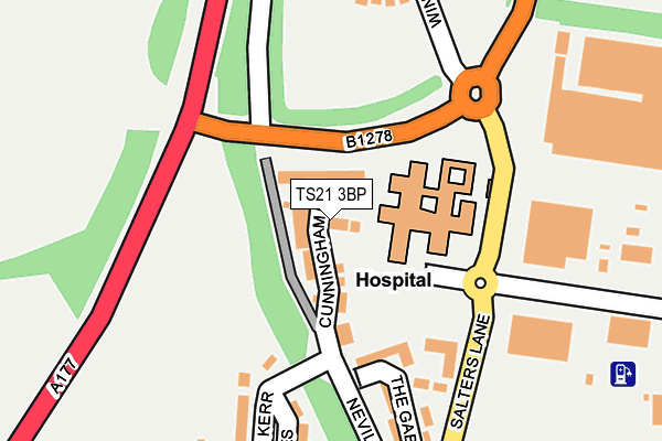TS21 3BP map - OS OpenMap – Local (Ordnance Survey)