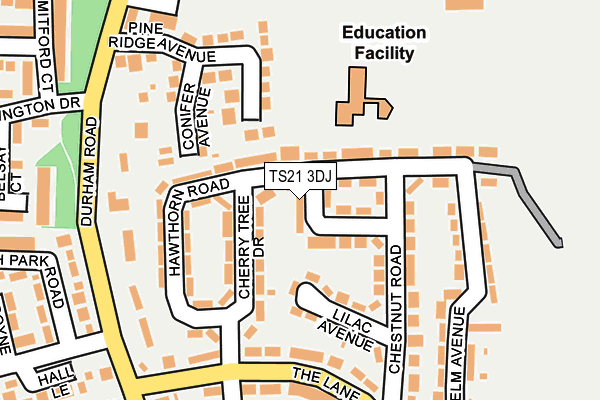 TS21 3DJ map - OS OpenMap – Local (Ordnance Survey)