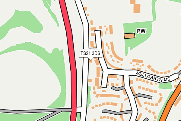 TS21 3DS map - OS OpenMap – Local (Ordnance Survey)