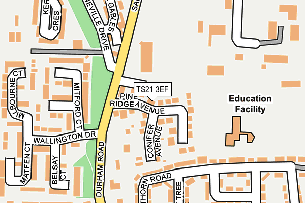 TS21 3EF map - OS OpenMap – Local (Ordnance Survey)