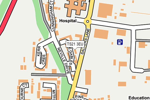 TS21 3EU map - OS OpenMap – Local (Ordnance Survey)