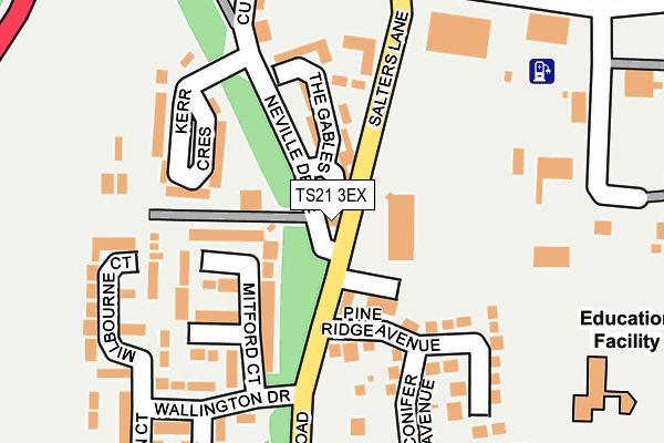 TS21 3EX map - OS OpenMap – Local (Ordnance Survey)