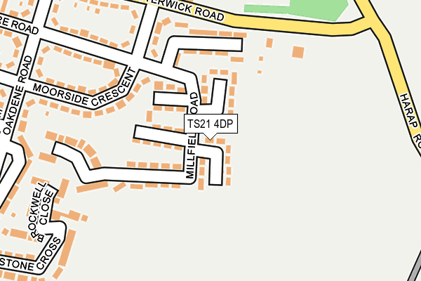 TS21 4DP map - OS OpenMap – Local (Ordnance Survey)