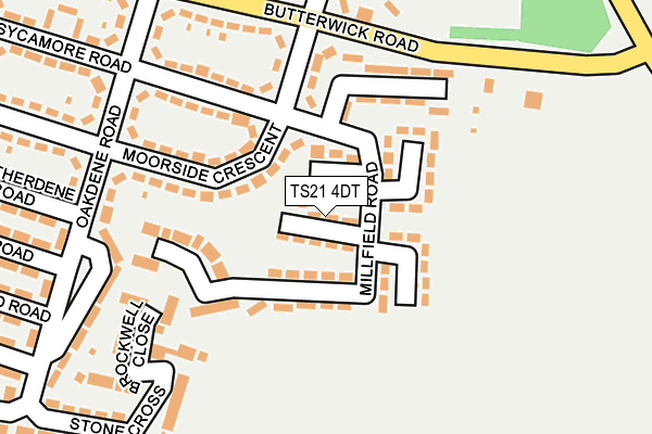 TS21 4DT map - OS OpenMap – Local (Ordnance Survey)