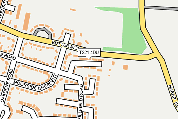 TS21 4DU map - OS OpenMap – Local (Ordnance Survey)