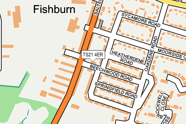 TS21 4ER map - OS OpenMap – Local (Ordnance Survey)