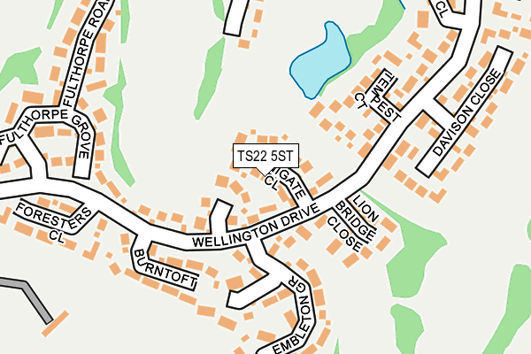 TS22 5ST map - OS OpenMap – Local (Ordnance Survey)