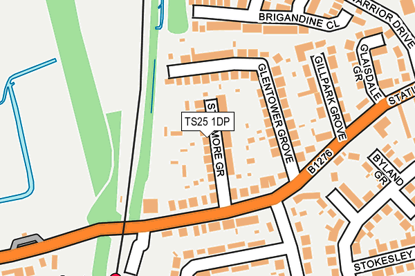 TS25 1DP map - OS OpenMap – Local (Ordnance Survey)