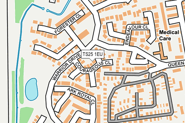 TS25 1EU map - OS OpenMap – Local (Ordnance Survey)