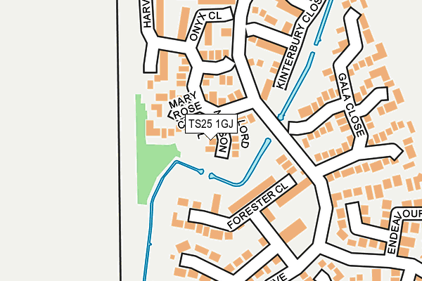 TS25 1GJ map - OS OpenMap – Local (Ordnance Survey)