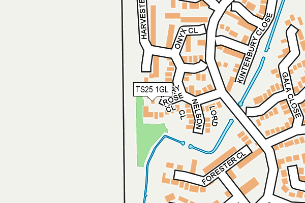 TS25 1GL map - OS OpenMap – Local (Ordnance Survey)