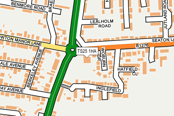 TS25 1HA map - OS OpenMap – Local (Ordnance Survey)