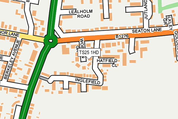 TS25 1HD map - OS OpenMap – Local (Ordnance Survey)