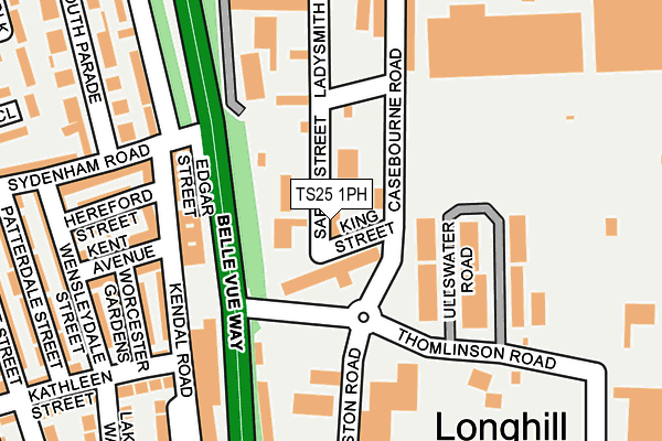 TS25 1PH map - OS OpenMap – Local (Ordnance Survey)