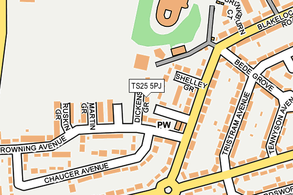 TS25 5PJ map - OS OpenMap – Local (Ordnance Survey)
